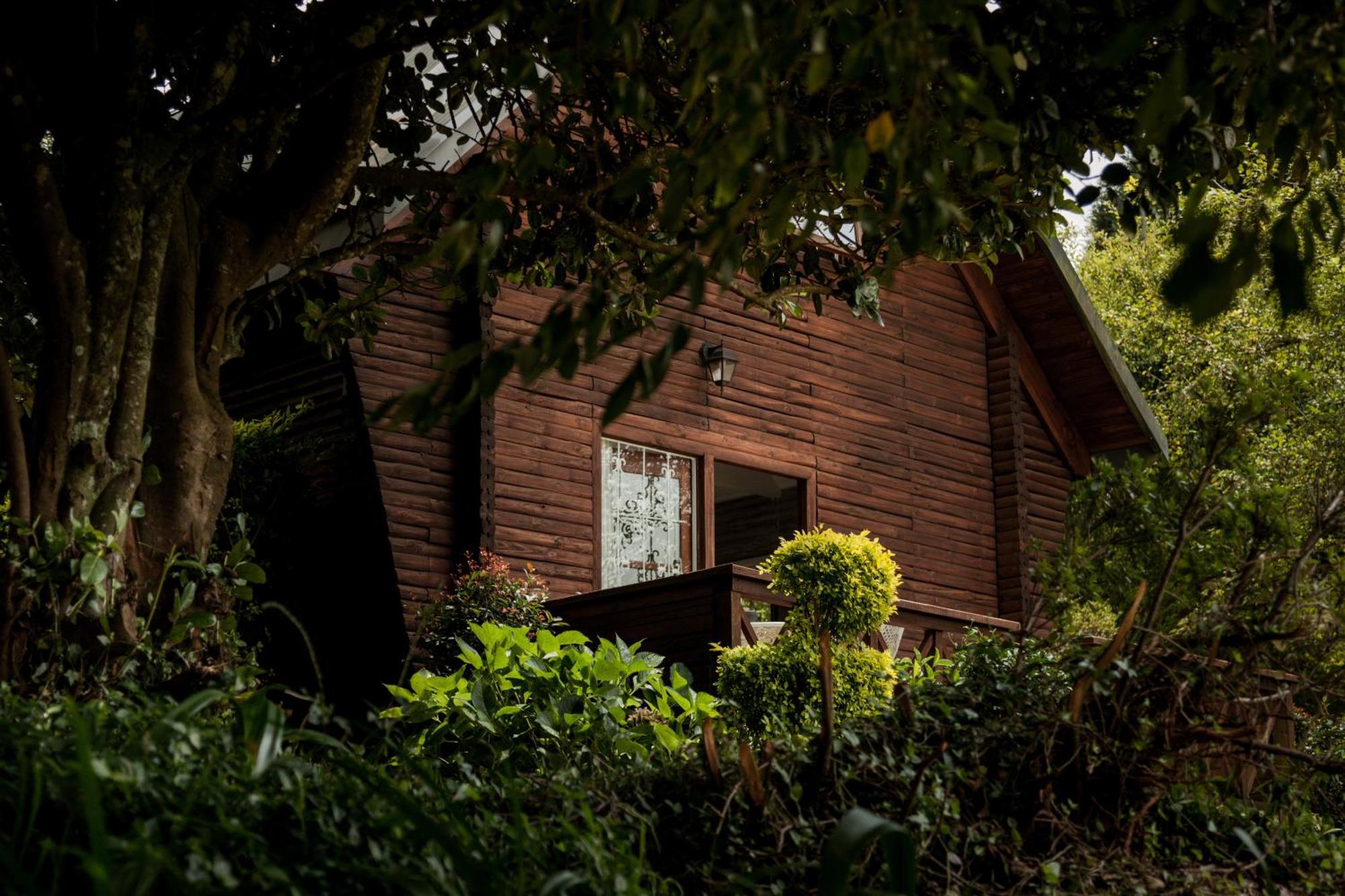 Viewpoint Estate Accommodation 哈内茨堡 外观 照片