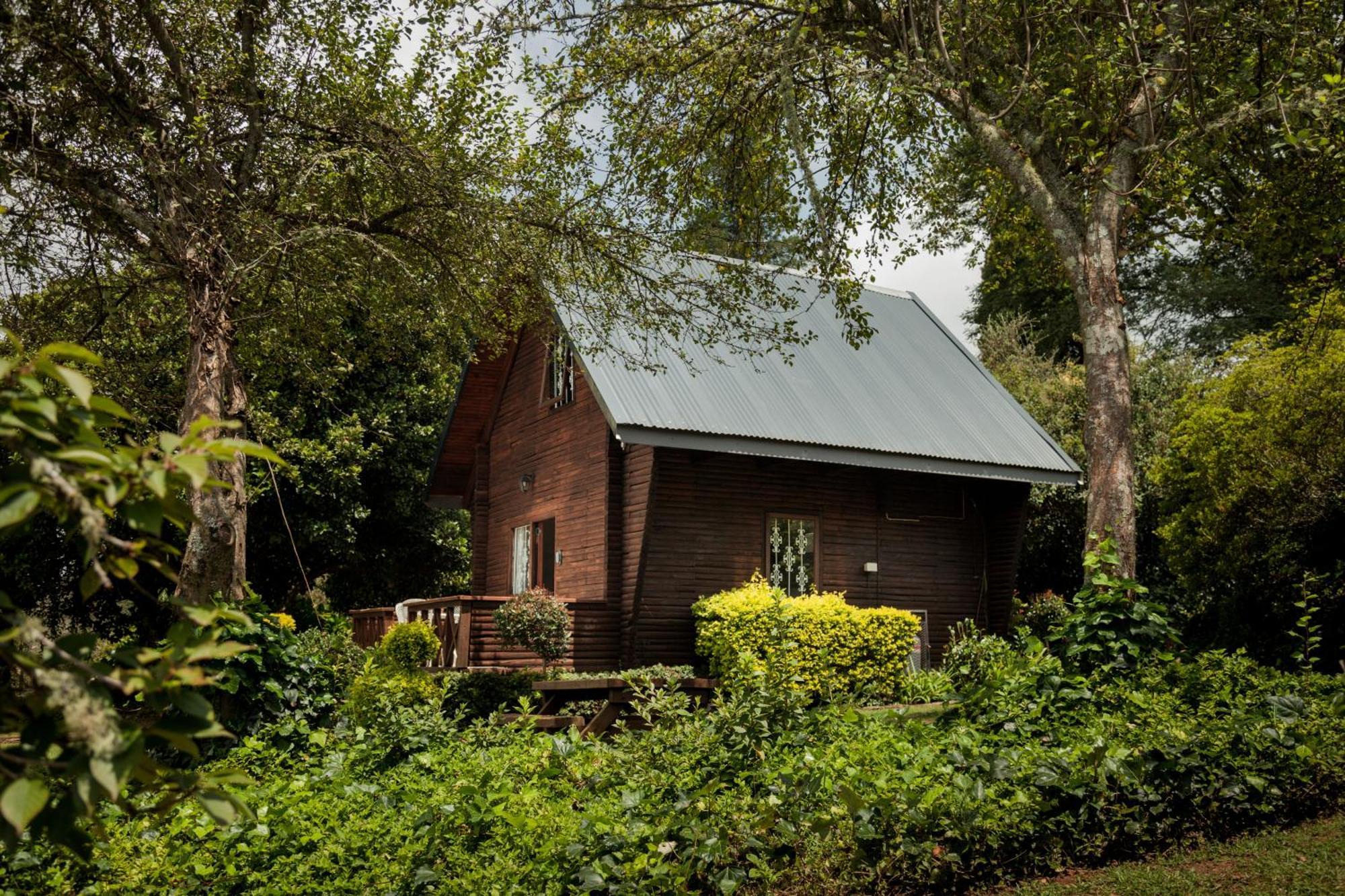 Viewpoint Estate Accommodation 哈内茨堡 外观 照片